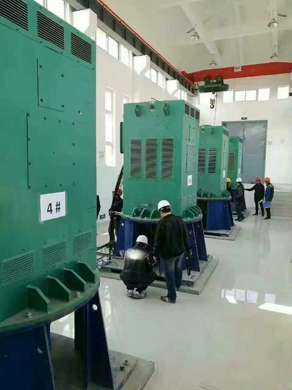 武义某污水处理厂使用我厂的立式高压电机安装现场安装尺寸
